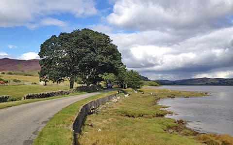 Dornoch - Golspie